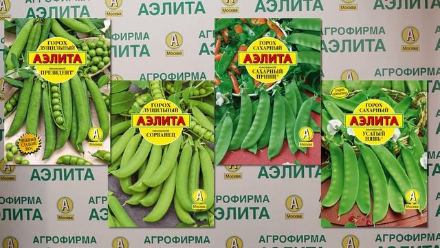 Выращивания гороха овощного. смотреть онлайн