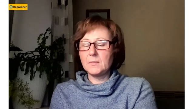 Как вывести собаку из команды "Сидеть" в состояние "Вольно"? смотреть онлайн