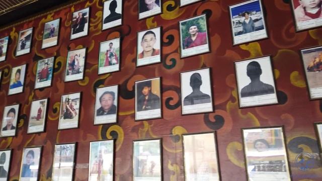 First impressions of Dharamshala, India! - Himachal Pradesh, India travel vlog смотреть онлайн