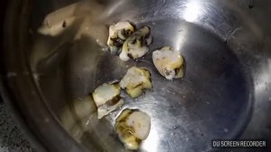 Как правильно почистить и приготовить вкуснейшего рапана к пиву