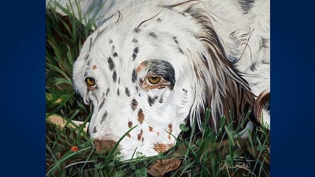 Английский сеттер (English setter) смотреть онлайн