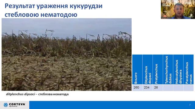 Агропоради від Corteva. Серія 18. Теорія. Проблематика поширення шкодочинних нематод. смотреть онлайн