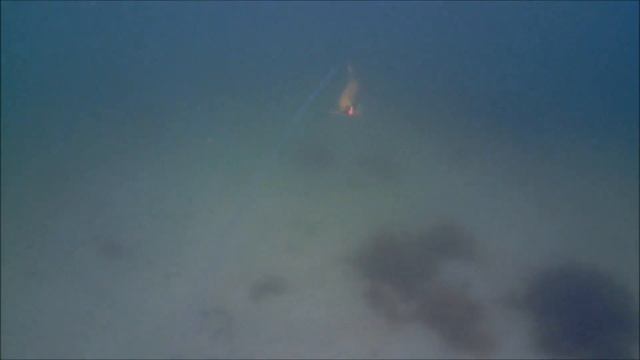 Havørredfiskeri med Water Wolf 22 sep 2017 смотреть онлайн