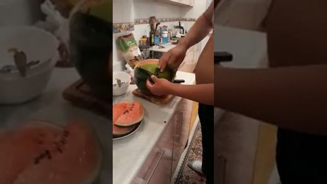 Внимание арбузы не еште его в июнь июля только в конце августа смотреть онлайн