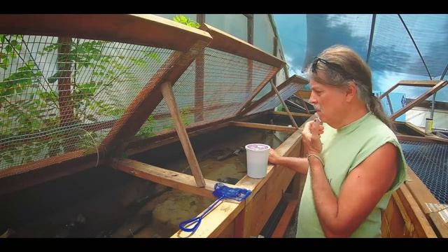 Where Your Baby Alligator Snapping Turtles Come From! Digging Eggs at Loggerhead Acres Turtle Farm! смотреть онлайн
