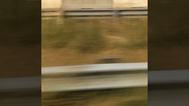 clover смотреть онлайн