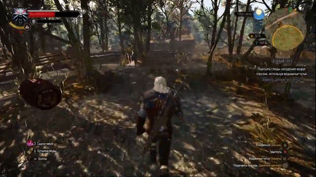The Witcher 3. Ценный груз смотреть онлайн