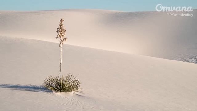 Meditation Music For Improved Focus And Concentration | Deep Relaxation Music
