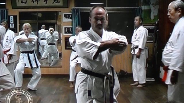 Pinan Yondan, Okinawa 2002 - Oshukai Poland смотреть онлайн