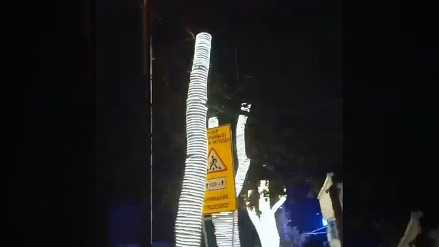 Подсветка деревьев светодиодной лентой смотреть онлайн