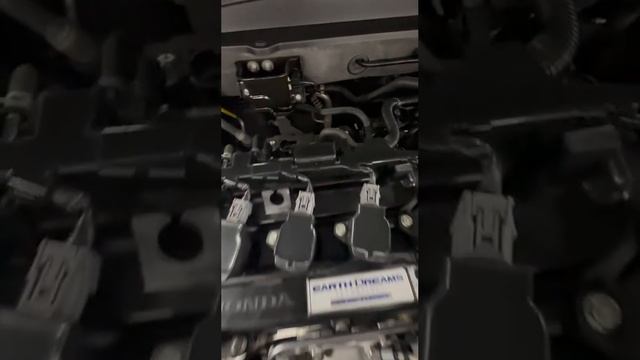 VID_20230529_181052_776.mp4.mov смотреть онлайн