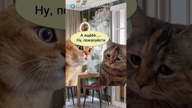 Мужской язык #мыкотики #разговор #анекдот #шутки #котики #юмор #смешное #прикольно #мемы #cat смотреть онлайн