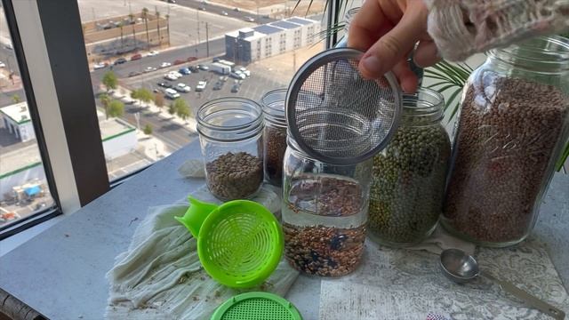 HOW TO SPROUT LENTILS AND OTHER SEEDS • RAW FOOD VEGAN смотреть онлайн