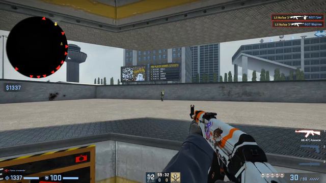 AK-47 Asiimov Field-tested GAMEPLAY