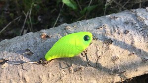 Ловля голавля. Мои приманки