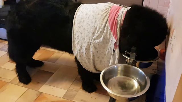 Каша с мясом смотреть онлайн