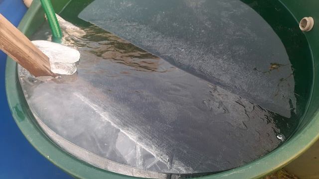 ДАЧА / ВОЛШЕБСТВО ПРОДОЛЖАЕТЬСЯ МОРОЗ ДЕЛАЕТ ПОЗИТИВНЫЕ СЮРПРИЗЫ смотреть онлайн
