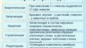 Углеводы. Особенности строения углеводов и их функции в организме. Моносахариды и полисахариды
