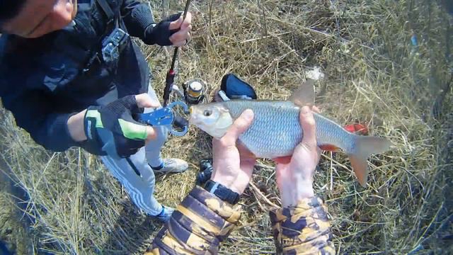 ВЕСЕННИЙ ЯЗЬ 2014. Видеоотчёт за 20/04 смотреть онлайн