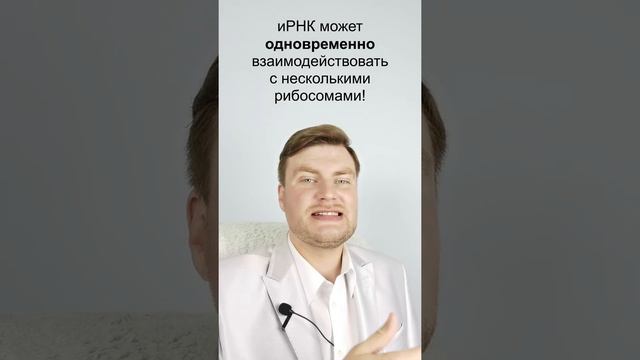 Полисомы. ЕГЭ Биология. ЕГЭ 2022. смотреть онлайн