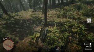 RDR2/Шайка(банда)Мерфри на 100% Где найти,что делать,как дальше жить.