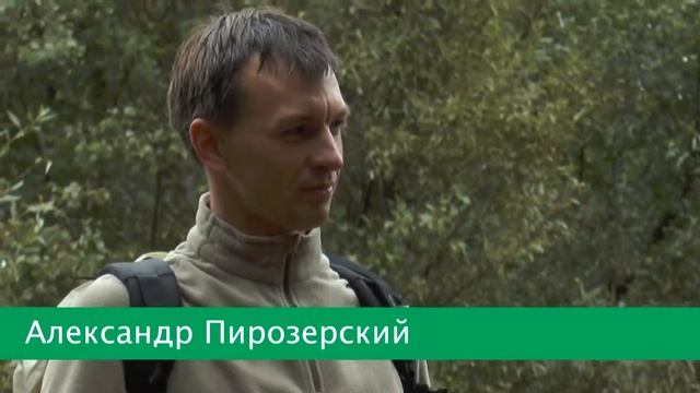 Тропа в Радонеж. Красноармейск МО