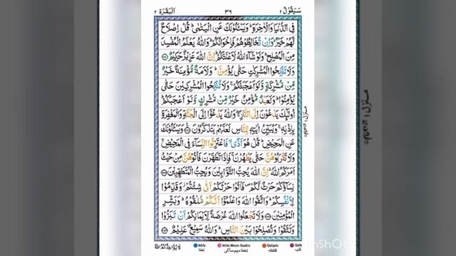 Surah Al-baqarah ayat 220-224 page 36 by Shiekh Mishari Rashid Al-Afasy voice смотреть онлайн