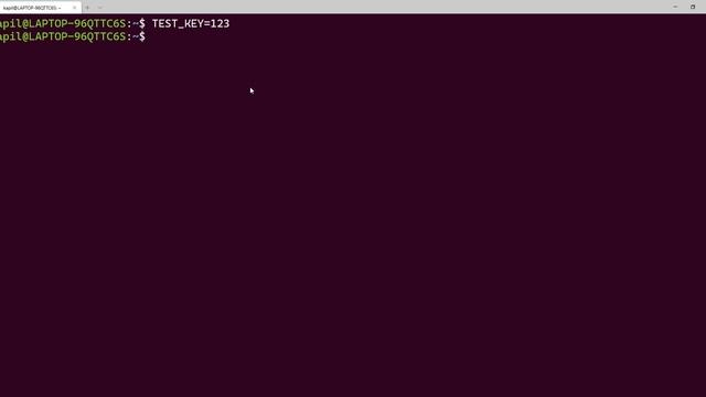 Set environment variable in Windows and WSL Linux in terminal смотреть онлайн