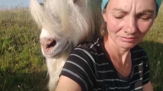 Делаю пивной сыр.Перепелята вывелись.У Алтая случилась беда,прячется за хозяйку смотреть онлайн