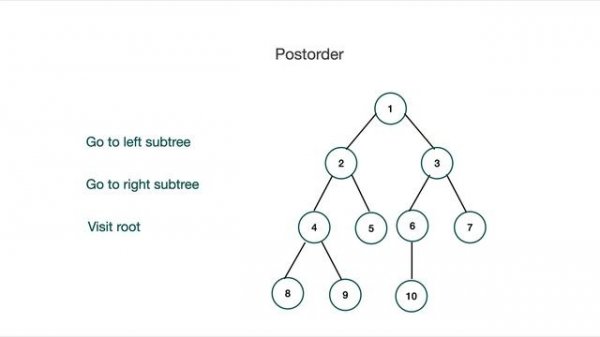 Tree In Data Structures Explained | Introduction To Tree