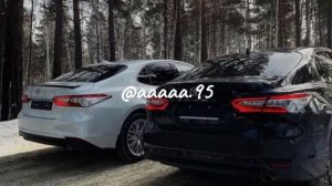 Хьа ойла ярна лозу дог🎶