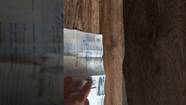 Узнать распил или планку по птс (обращаем внимание) смотреть онлайн