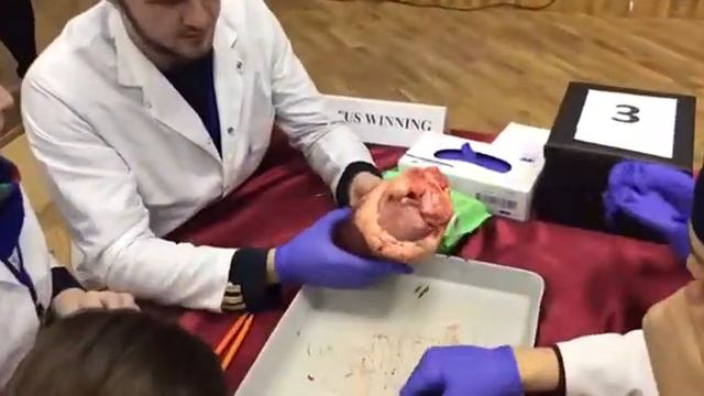 ДГМУ. Medical Venatus.  21.12.2017г.