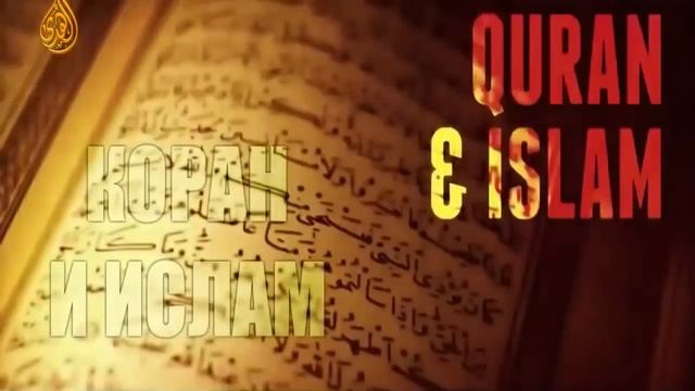 «Смысл жизни, самый лучший ролик!» (Всем смотреть) смотреть онлайн