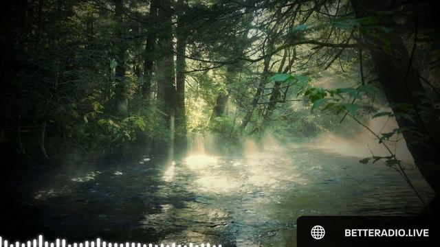 Steand & Andy Kulter - Rituals смотреть онлайн
