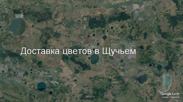 Доставка цветов в Щучьем - Заказ букетов от компании Скорая подарочная помощь смотреть онлайн