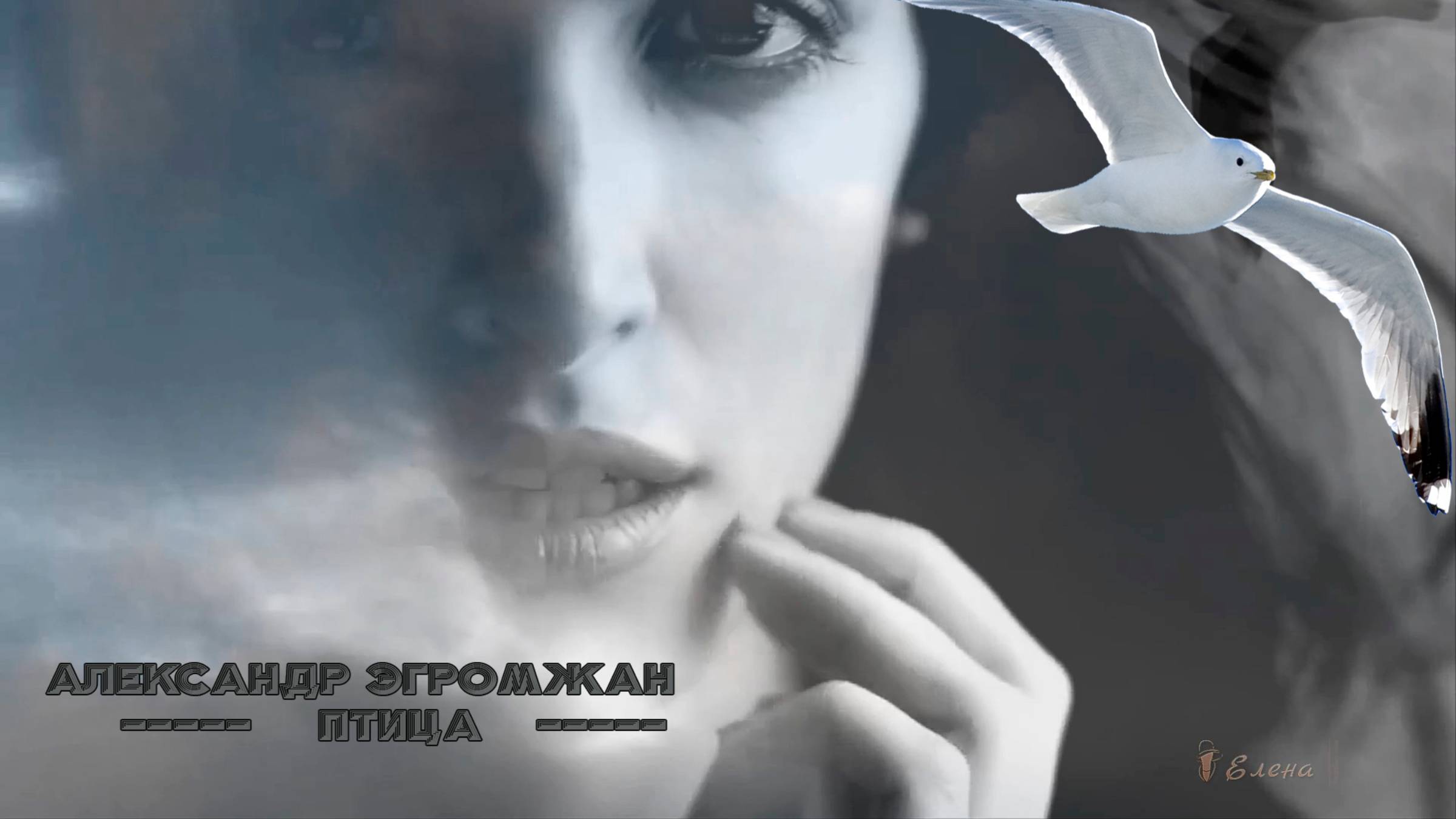 Александр Эгромжан        Птица *