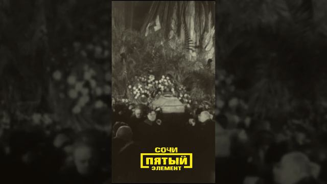 ПАЛЬМА СИМВОЛ СМЕРТИ смотреть онлайн