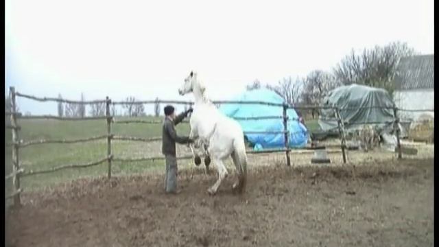 Свобода. Работа в руках. Учебные моменты№2. Пассаж, каприоль... смотреть онлайн