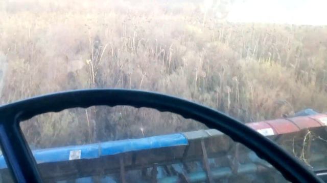 В вашей амброзии семечки не обнаружено! Уборка подсолнечника пионер Нива СК-5м2 смотреть онлайн