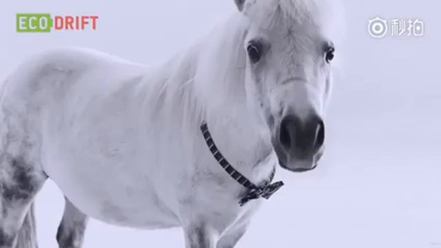 Xiaomi mini 2. Новинка Июль 2017! смотреть онлайн