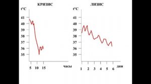 Лекция 05.
Все факультеты.
Лихорадка.