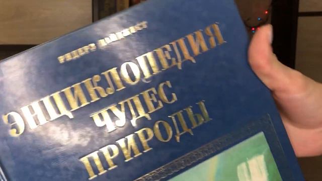 Залипательные книги для визуалов смотреть онлайн