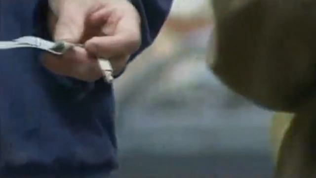 Олег Капралов - Бомж (Сектор Газа) смотреть онлайн