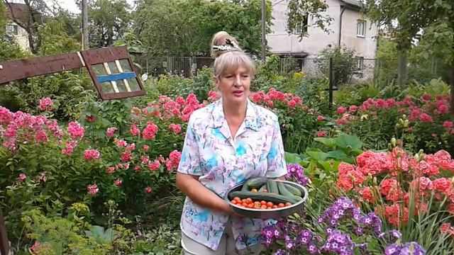 Елена Терехова.