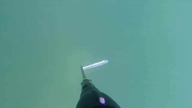 Русская подводная рыбалка на карпа в пруду Долбанул не мелкого карпового монстра смотреть онлайн