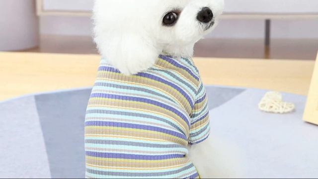 Пижамы для собак с АлиЭкспресс смотреть онлайн