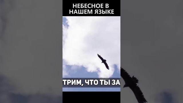 Небесное в нашем языке смотреть онлайн