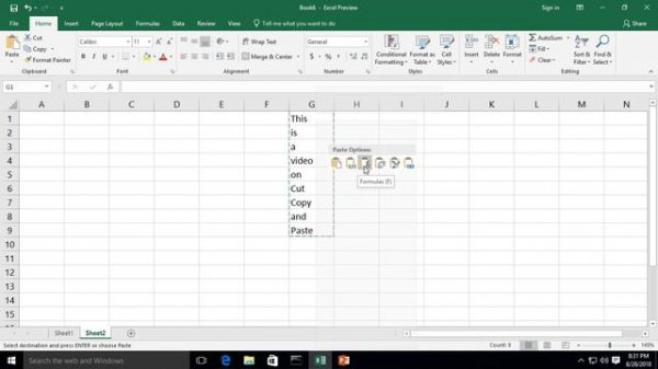 Excel 2019 Cut Copy and Paste