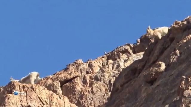 Загадочный природа Памир. Част 1